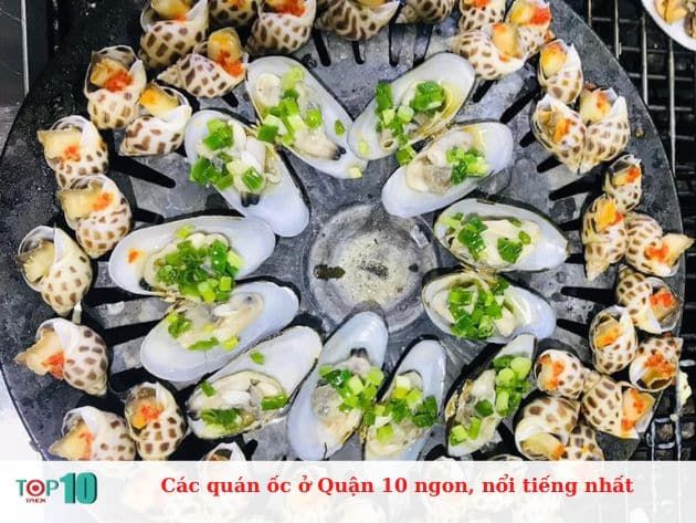 Hành trình khám phá những quán ốc đình đám nhất Quận 10 - thiên đường ẩm thực không thể bỏ qua