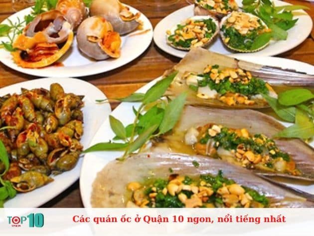 Hành trình khám phá những quán ốc đình đám nhất Quận 10 - điểm hẹn không thể bỏ qua cho tín đồ ẩm thực