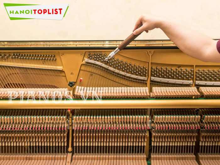 trai-nghiem-dich-vu-len-day-dan-piano-chuyen-nghiep-tai-pianos-vn-cung-mytour