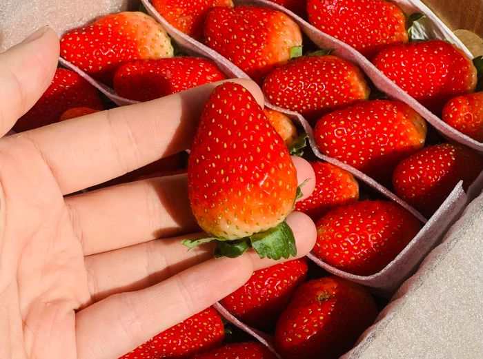 Khoảnh khắc tươi tắn tại Chang Fruits ảnh 2