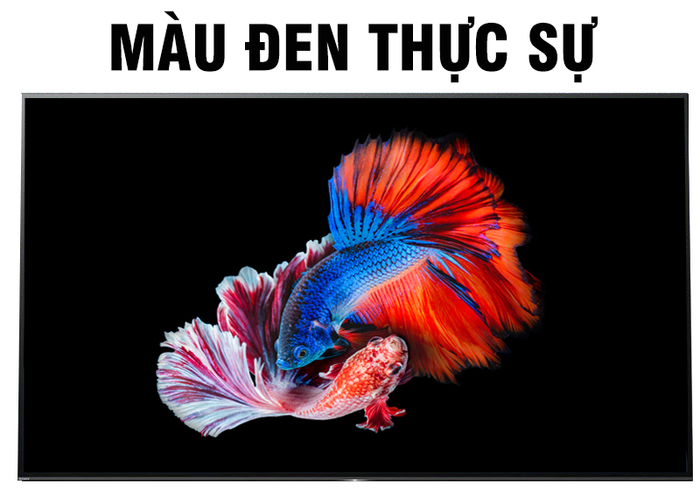 Android Tivi OLED Sony 4K 55 inch KD-55A1