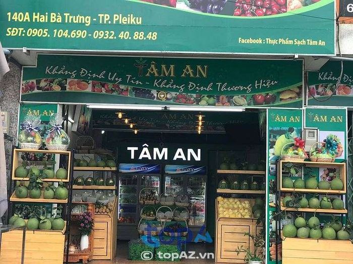 Tâm An - Địa chỉ vàng trái cây sạch tại Pleiku