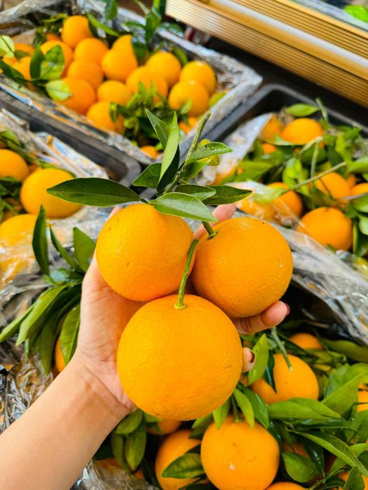 Hình ảnh thứ hai tại cửa hàng Cây Ba Trồng
