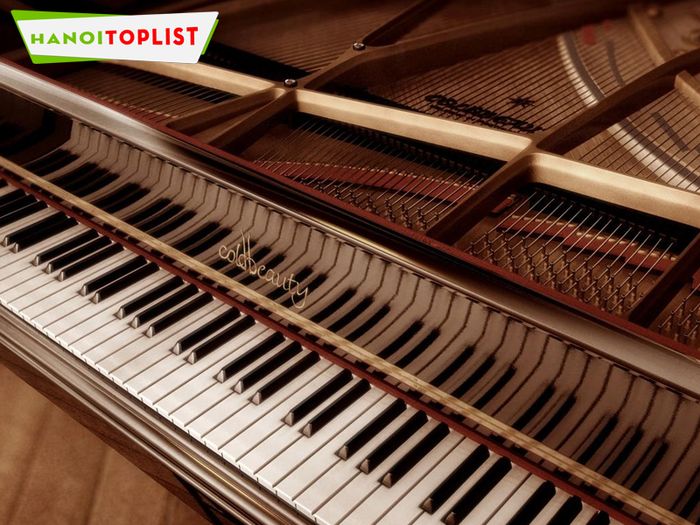 kham-pha-dai-ly-hilimusic-voi-dich-vu-piano-chuyen-nghiep-cung-mytour