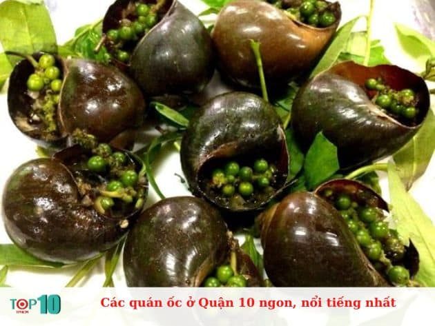 Hành trình khám phá những quán ốc đình đám nhất Quận 10 - thiên đường ẩm thực đường phố