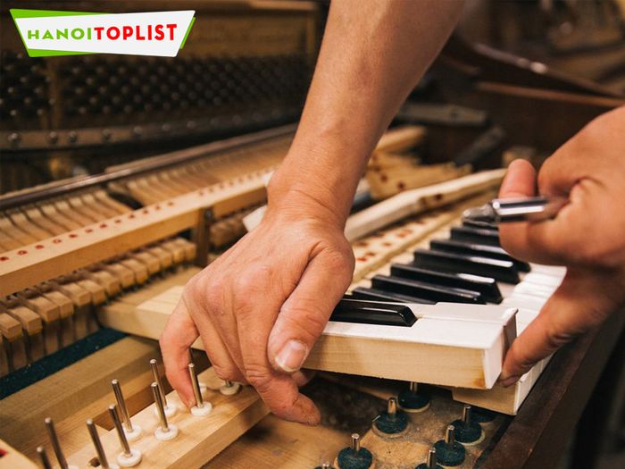 trai-nghiem-dich-vu-len-day-dan-piano-dinh-cao-tai-musicland-cung-mytour