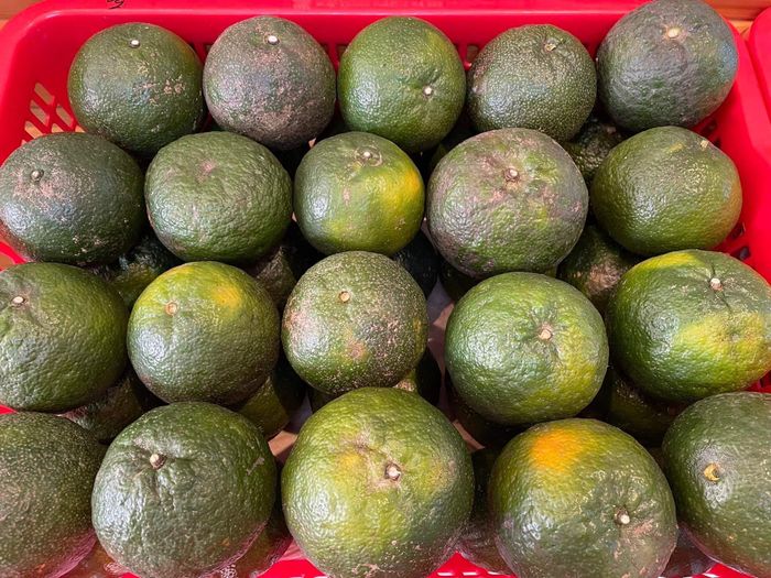 Cửa hàng Agrita An ảnh 2 – Hương vị sạch, sắc màu tươi