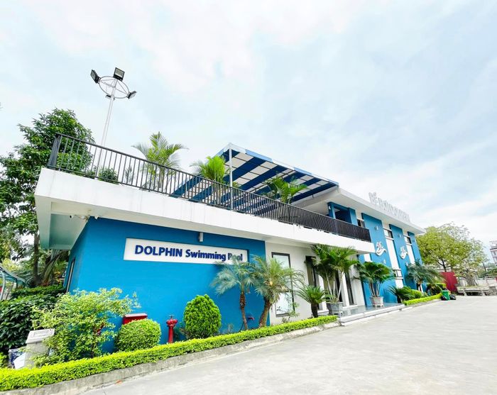Bể bơi Dolphin - Hình ảnh 2