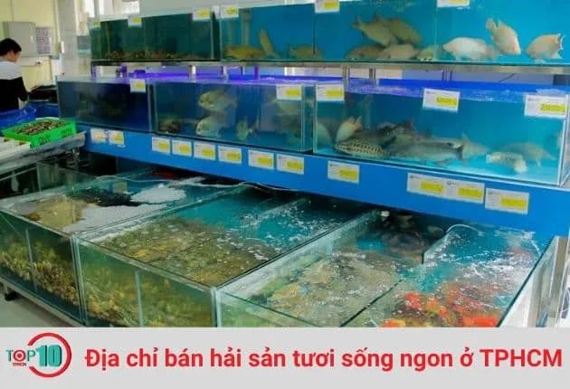 Vựa hải sản Thùy cam kết mang đến những sản phẩm hải sản tươi sống chất lượng nhất, đảm bảo độ tươi ngon từ biển cả đến bàn ăn.