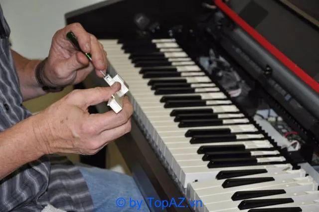 Adam Music - Địa chỉ vàng cho các tín đồ Piano