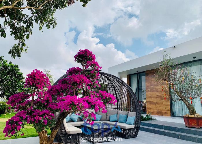 Thành Phát Ninh Thuận - Kiến tạo không gian sống đẳng cấp