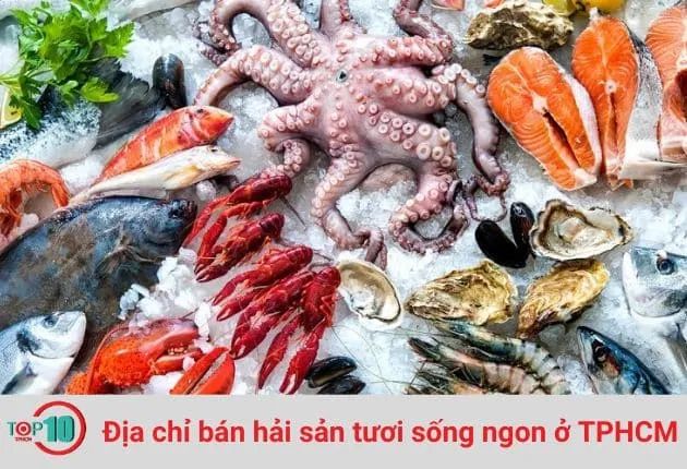 Những nơi cung cấp hải sản tươi ngon, chất lượng tại thành phố Hồ Chí Minh