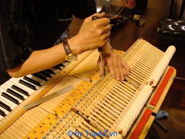 Dawn Music - Địa chỉ sửa chữa Piano chuyên nghiệp hàng đầu Hà Nội