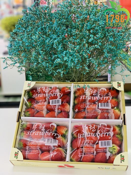 179B FRUIT ảnh 3