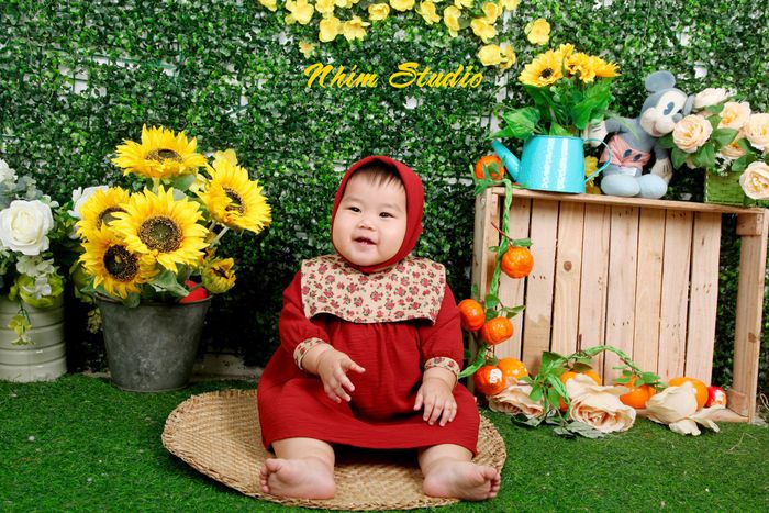 Nhím studio ảnh 2