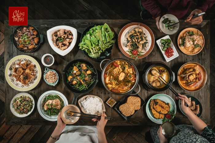 Cá Lăng Toàn Thắng ảnh 1