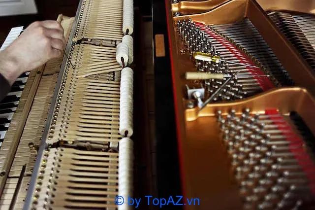 Tìm kiếm trung tâm sửa chữa đàn Piano chuyên nghiệp tại thủ đô