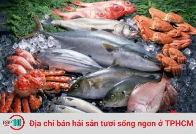 Cảng Hải Sản tự hào là điểm đến của những loại hải sản độc đáo từ các vùng biển nổi tiếng khắp Việt Nam.