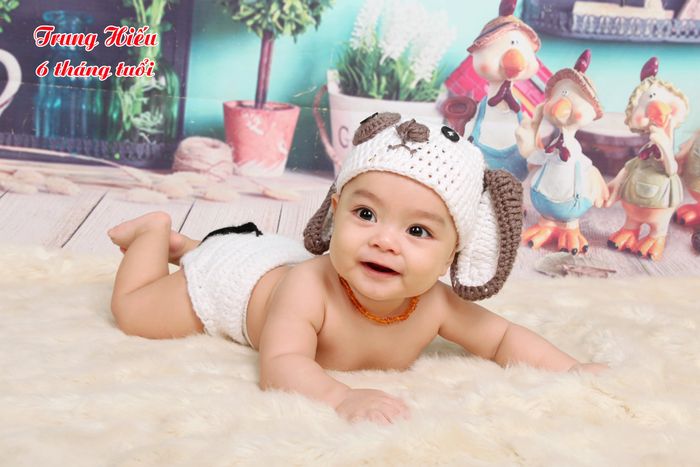 Nhím studio ảnh 3