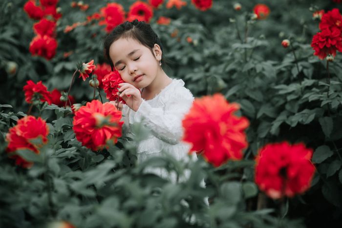 Lee Vy Studio ảnh 2