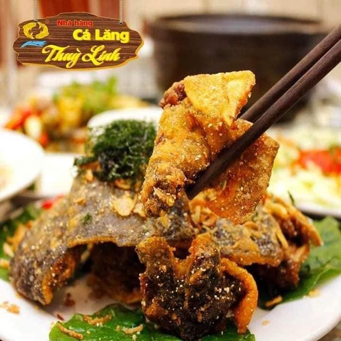 CÁ LĂNG THÙY LINH ảnh 1