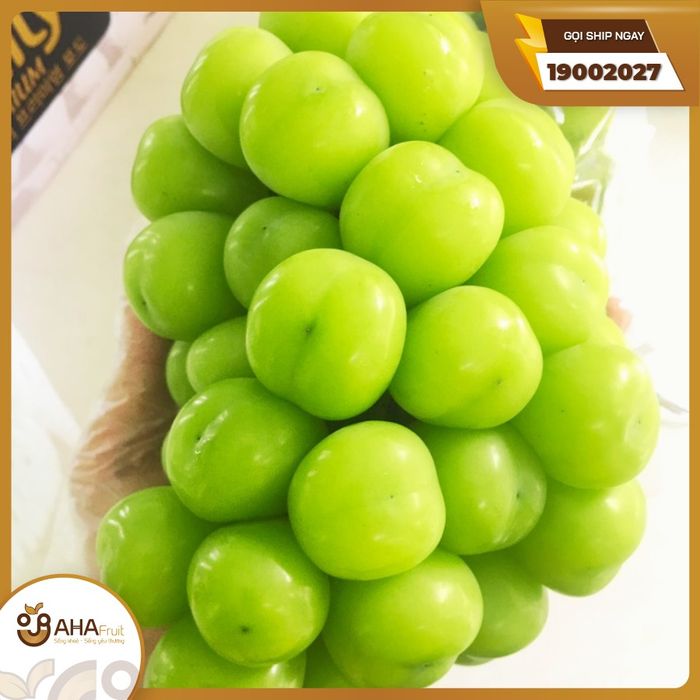 AhaFruit ảnh 2