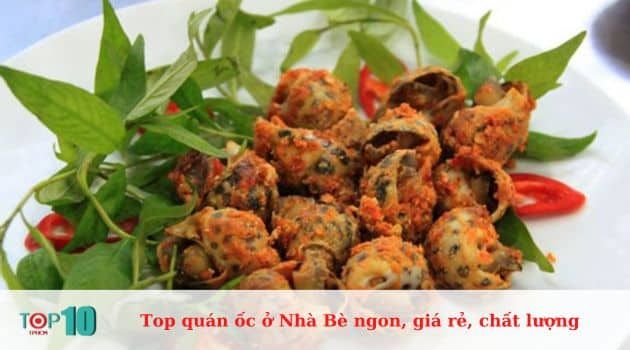 Ốc Tiên - Tinh hoa ốc Bắc Bộ