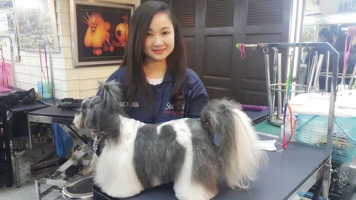 Mon&Pet Academy - Hình ảnh 1