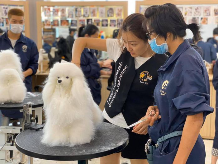 Học Viện Tạo Mẫu Lông Chó Quốc Tế Lanlan Pet hình ảnh 1