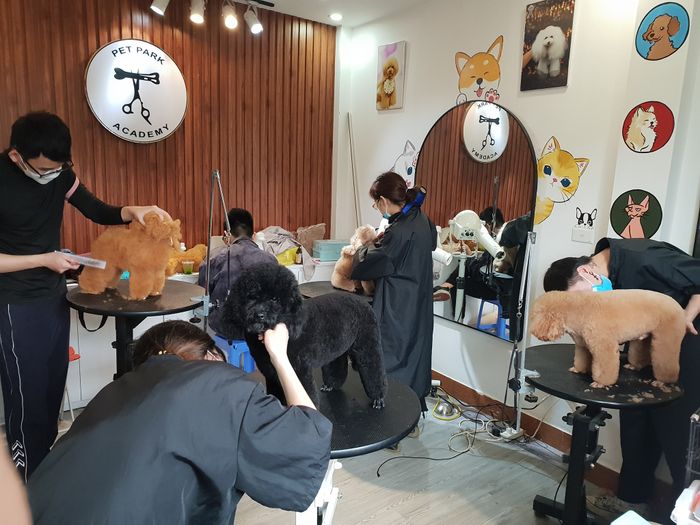 Pet Park Academy - Hình ảnh 2