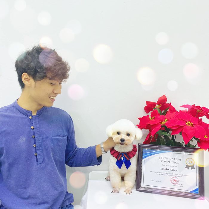 MiChu Pet hình ảnh 1