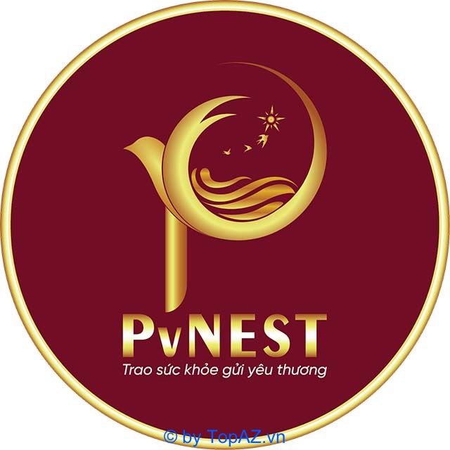 Thương Hiệu Yến Sào PvNEST – Tinh Hoa Từ Thiên Nhiên