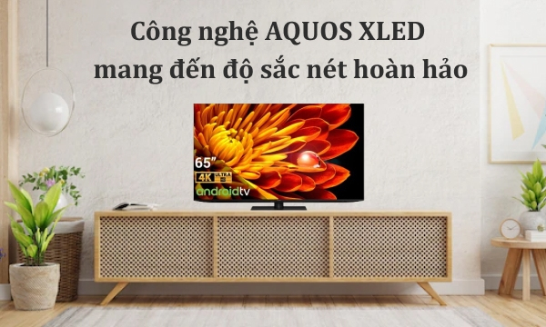 Tivi đèn nền XLED Sharp 4K 65 inch 4T-C65FV1X
