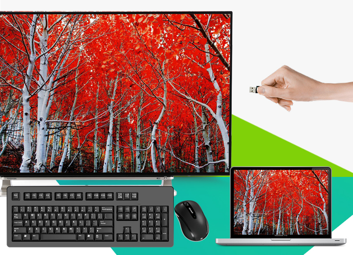 Smart Tivi Toshiba 55 inch 55L5550