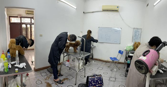 Lino Pet Salon - Hình ảnh 1