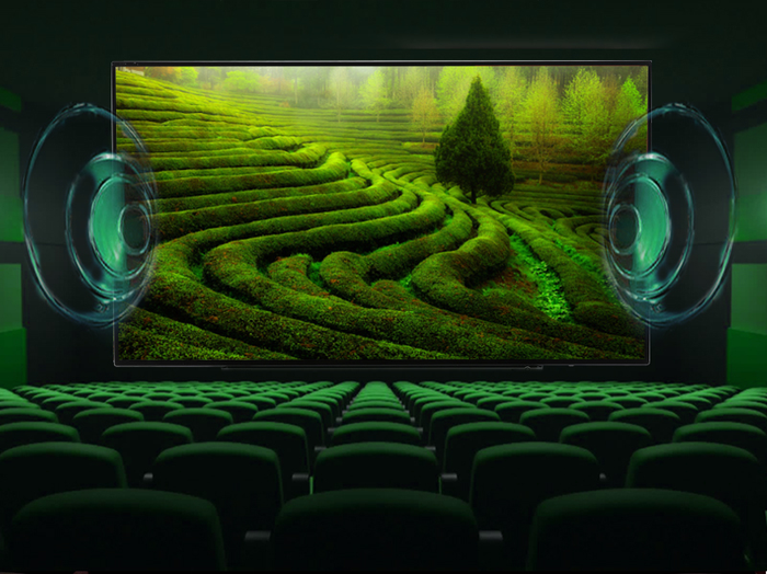 Smart Tivi Toshiba 55 inch 55L5550