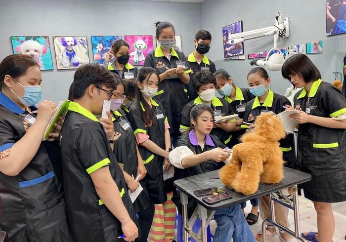 Trường đào tạo cắt tỉa thú cưng Quốc Tế - Pets Icon Grooming Academy hình ảnh 1