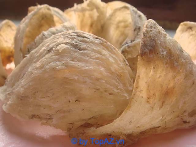 Yến Sào PvNEST - Tinh túy dinh dưỡng từ thiên nhiên