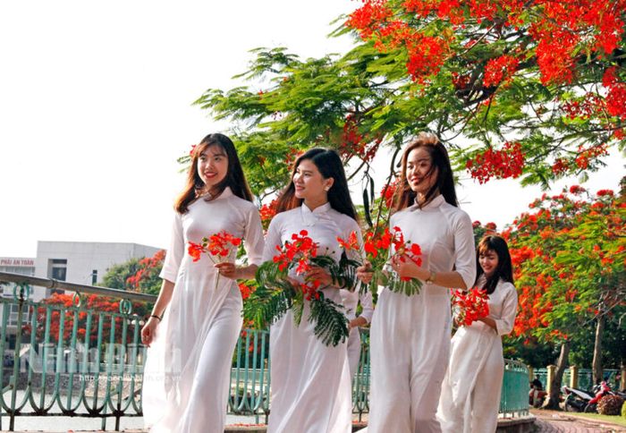 Ảnh minh họa (Nguồn internet) ảnh 1