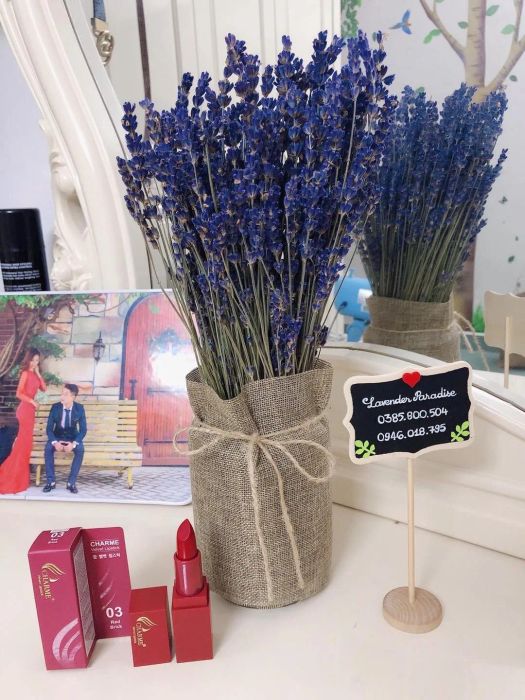 LAVENDER PARADISE (Hình ảnh 1)