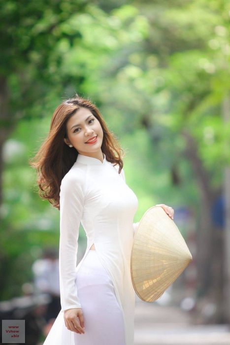 Bộ sưu tập hình ảnh áo dài Việt Nam đa dạng qua các thời kỳ (Nguồn: internet)