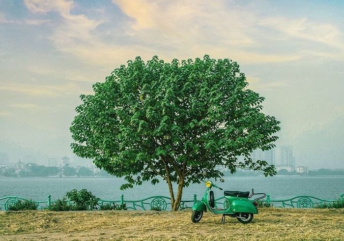 Hình ảnh minh họa số 1 (Nguồn: internet)