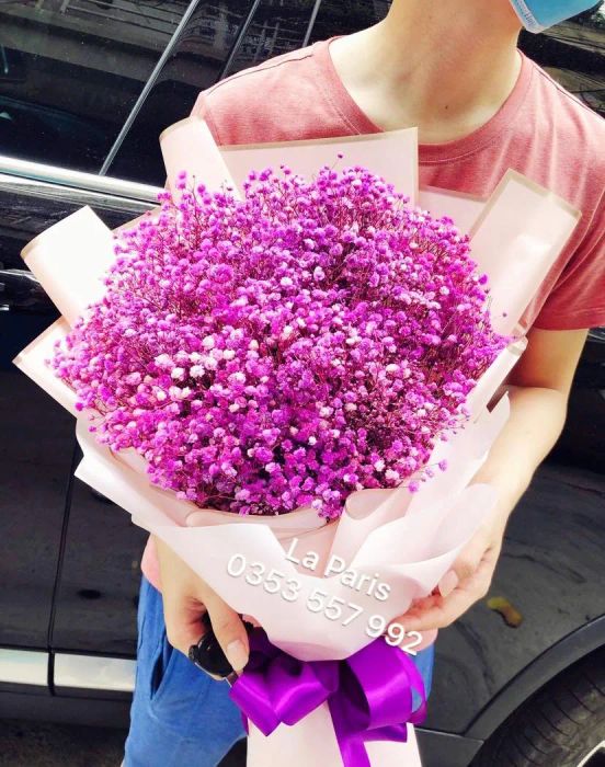 LA PARIS - Hoa Oải Hương Lavender Hà Nội (Hình ảnh 2)