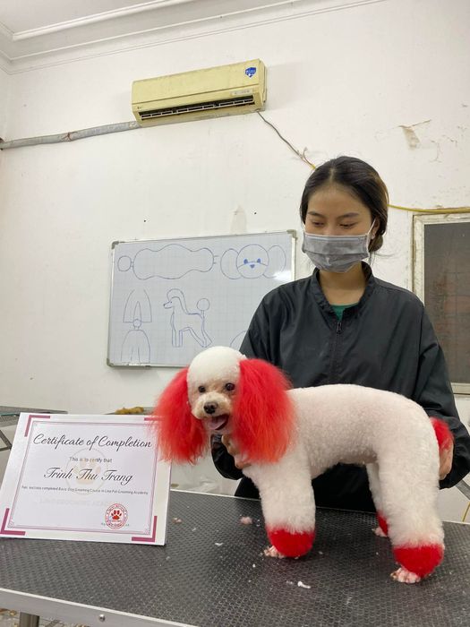 Lino Pet Salon - Hình ảnh 2