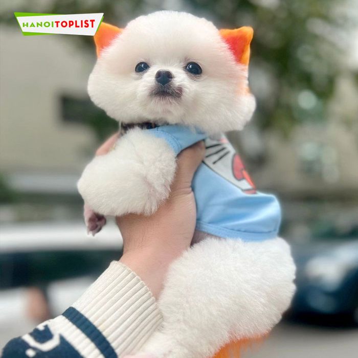 cua-hang-ban-meo-map-pet-house-2-Mytour