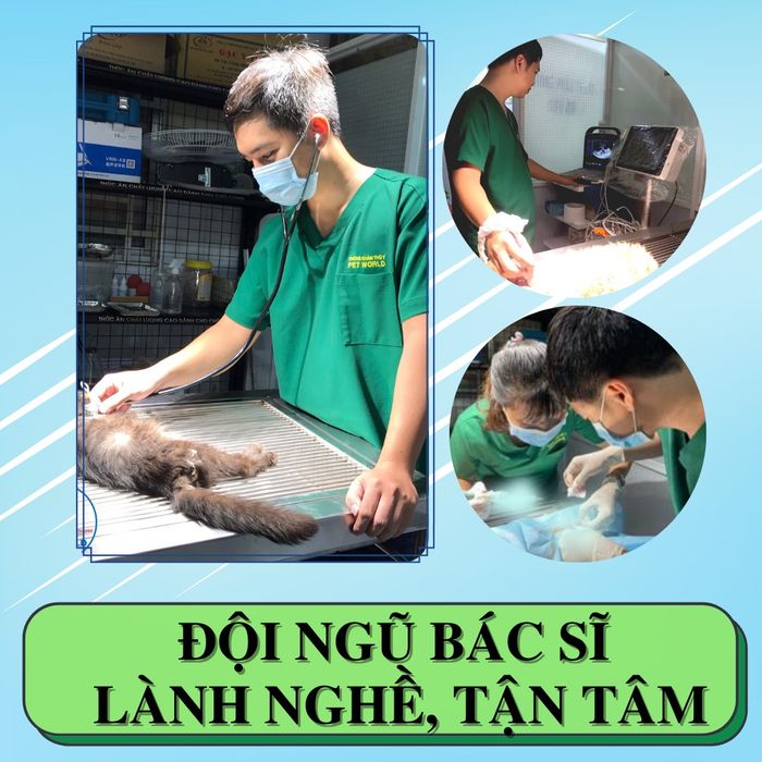 Ảnh Bệnh Viện Thú Y Pet World (3)
