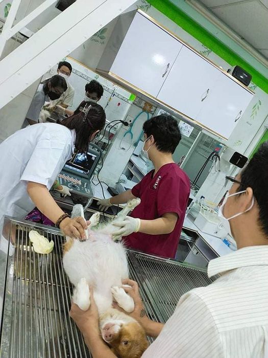 Ảnh Phòng khám thú y CoCo Pet (2)