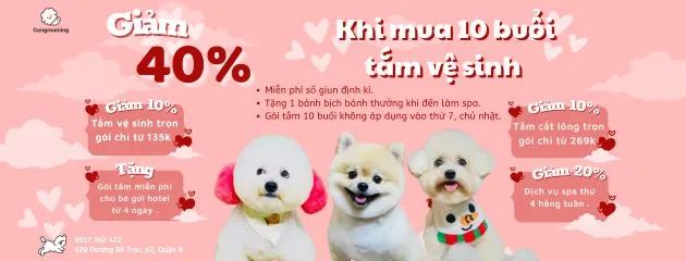 Cengrooming - Pet Salon - Điểm hẹn sang trọng cho thú cưng