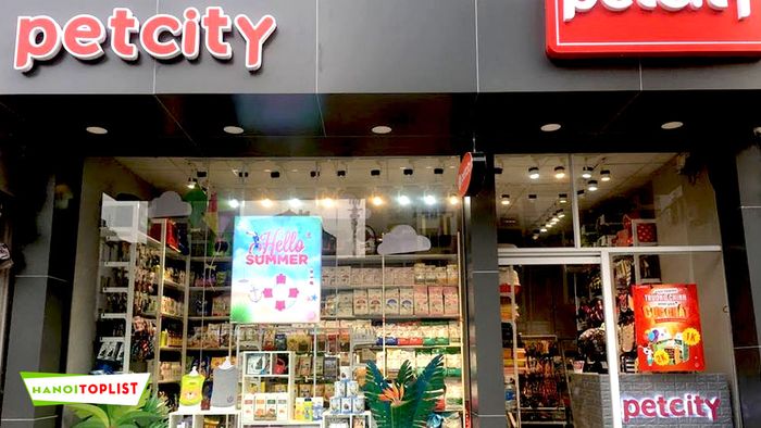 petcity-cua-hang-ban-meo-o-ha-noi