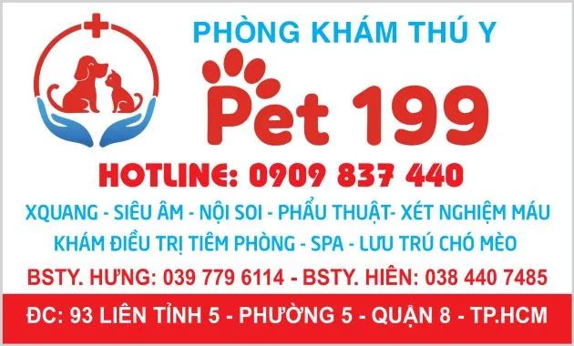 Phòng khám thú y 199 - Chăm sóc sức khỏe trọn đời cho thú cưng